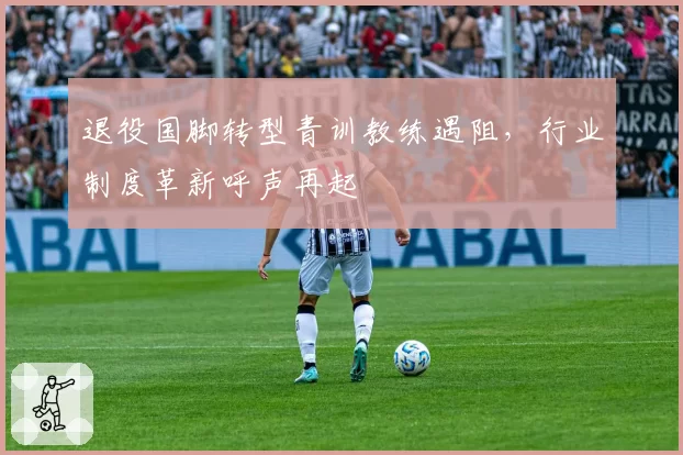 退役国脚转型青训教练遇阻,行业制度革新呼声再起