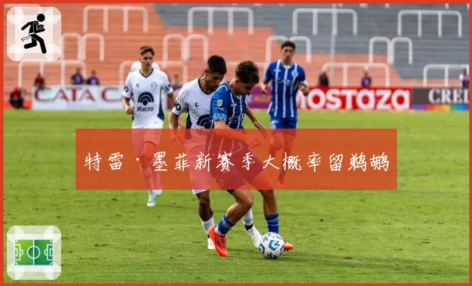 特雷·墨菲新赛季大概率留鹈鹕