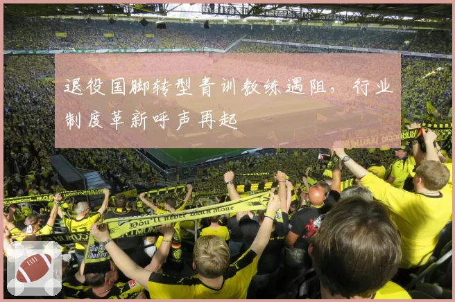 退役国脚转型青训教练遇阻，行业制度革新呼声再起