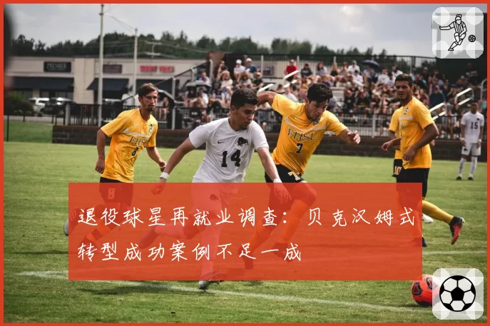 退役球星再就业调查:贝克汉姆式转型成功案例不足一成