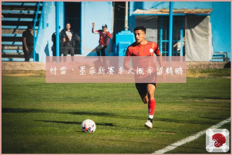 特雷·墨菲新赛季大概率留鹈鹕